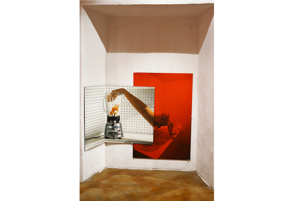 Blood Orange: Museo de Arte Contemporaneo (MACQ), MX